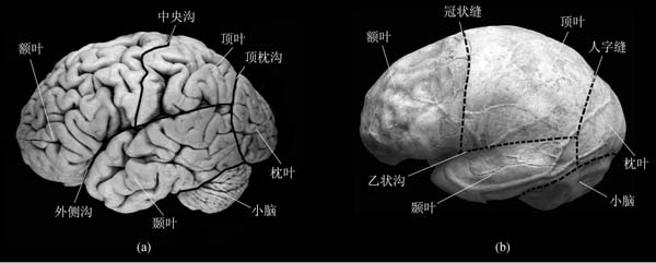 微信图片_20200420132842.jpg